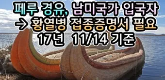 남미 황열병 예방접종 후기 경험과 준비사항_12