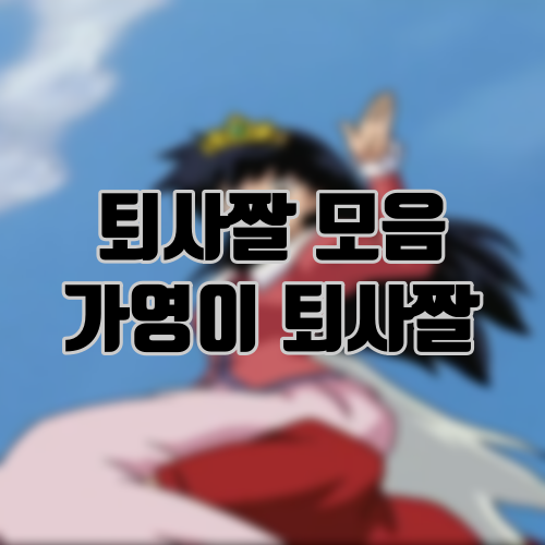 퇴사짤 모음(가영이 퇴사짤, 이누야샤 퇴사짤, 도비짤)