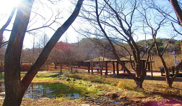 광주호호수생태원