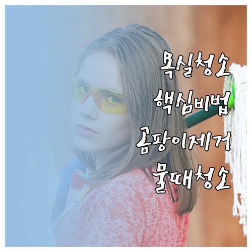 욕실 청소 핵심: 곰팡이, 물때 제거..