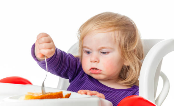toddler appetite fluctuation