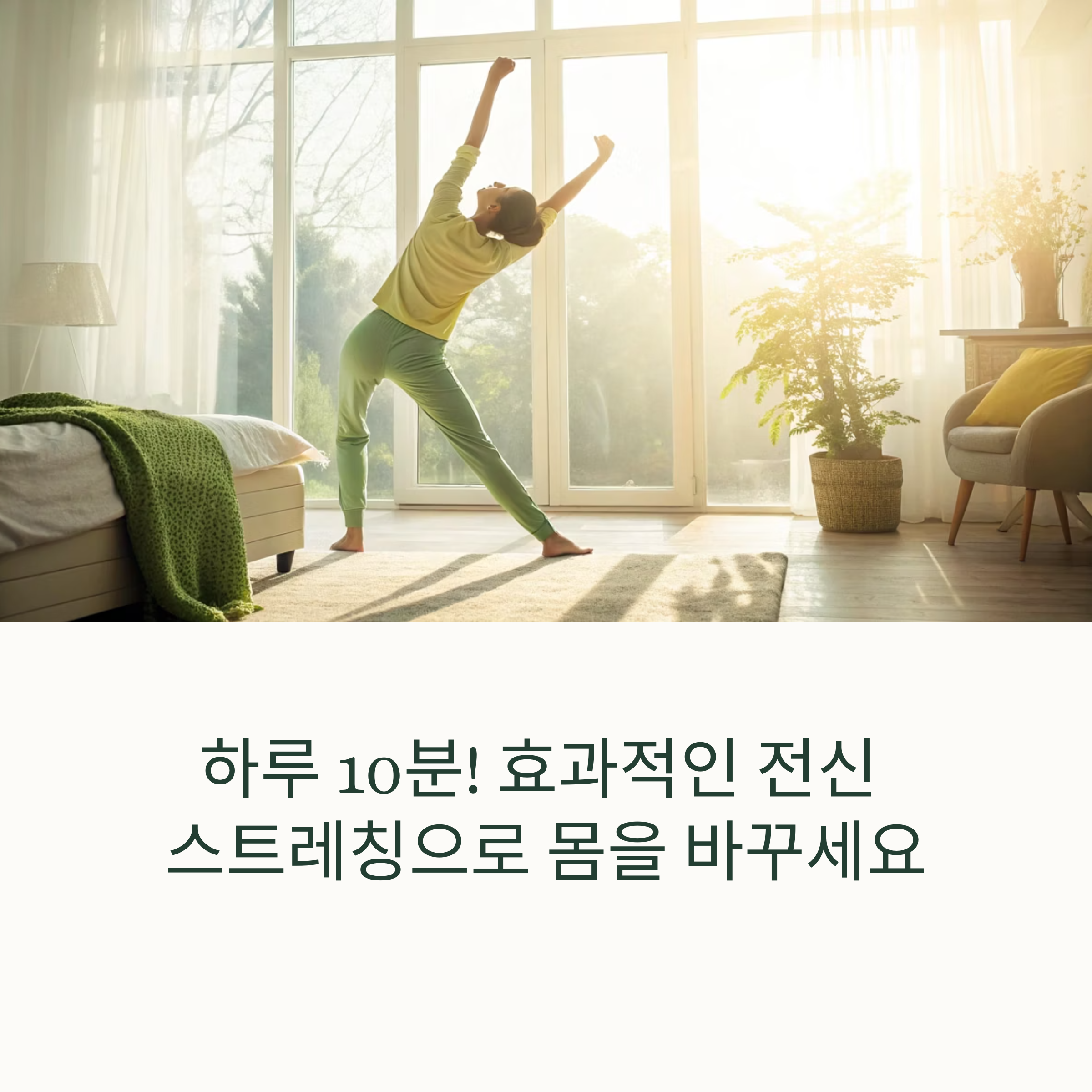 전신스트레칭 하루10분
