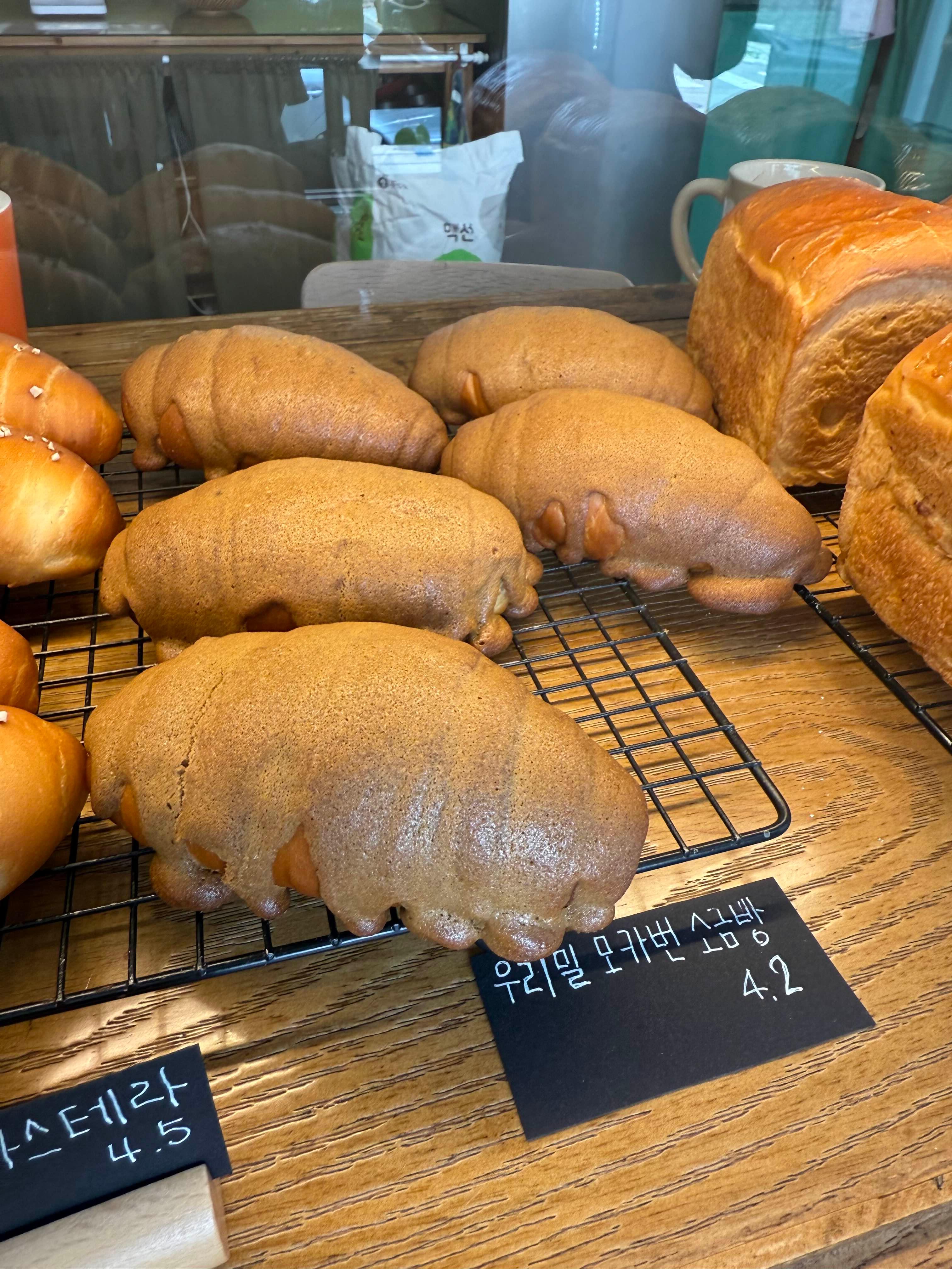 모카번소금빵