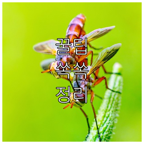 2025 함양군 임산부 검진 철분제 ..