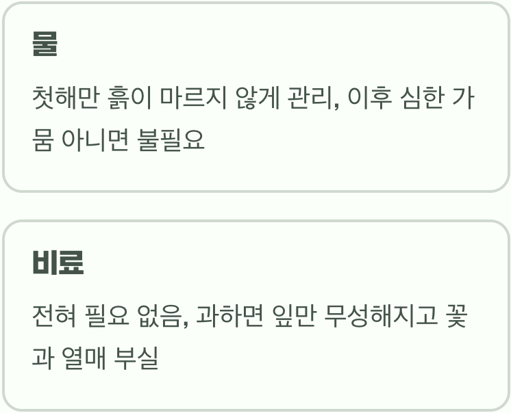 과한 사랑은 독&amp;#44; 무심함의 미학