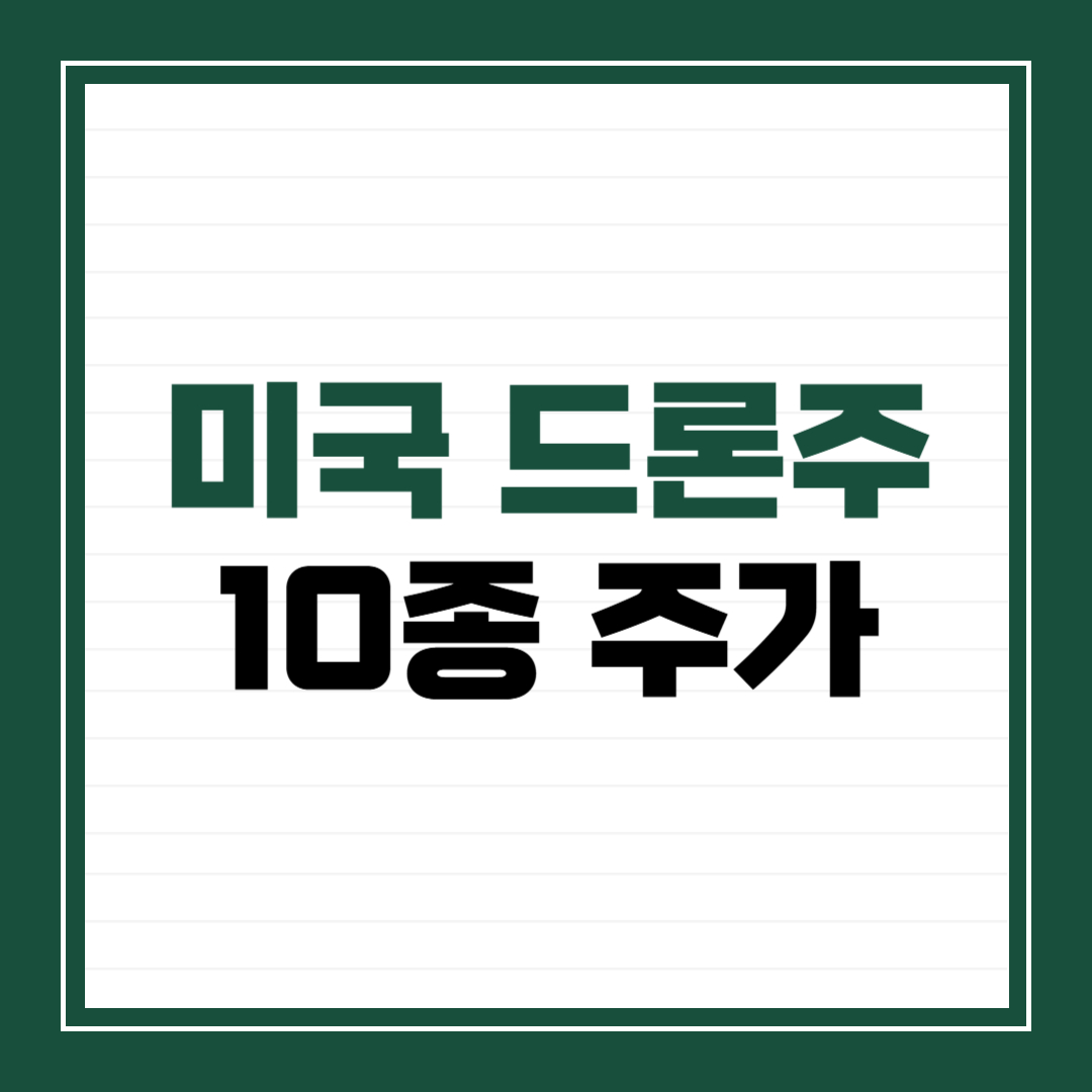 미국 드론주 10종 주가