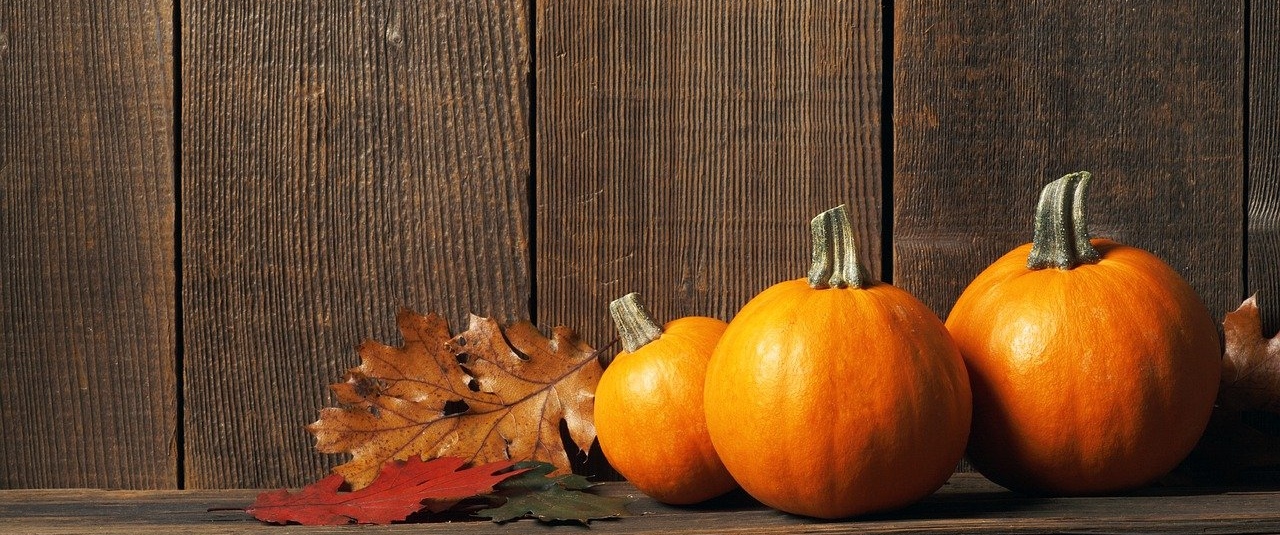 추수감사절 대표기도문