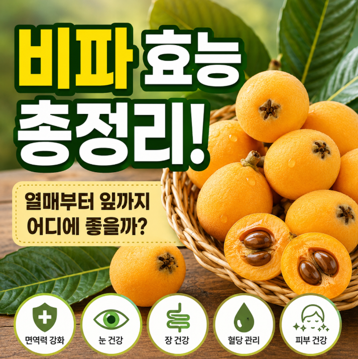 비파 효능 7가지, 비파잎 효능과 부작용까지 한 번에 정리1