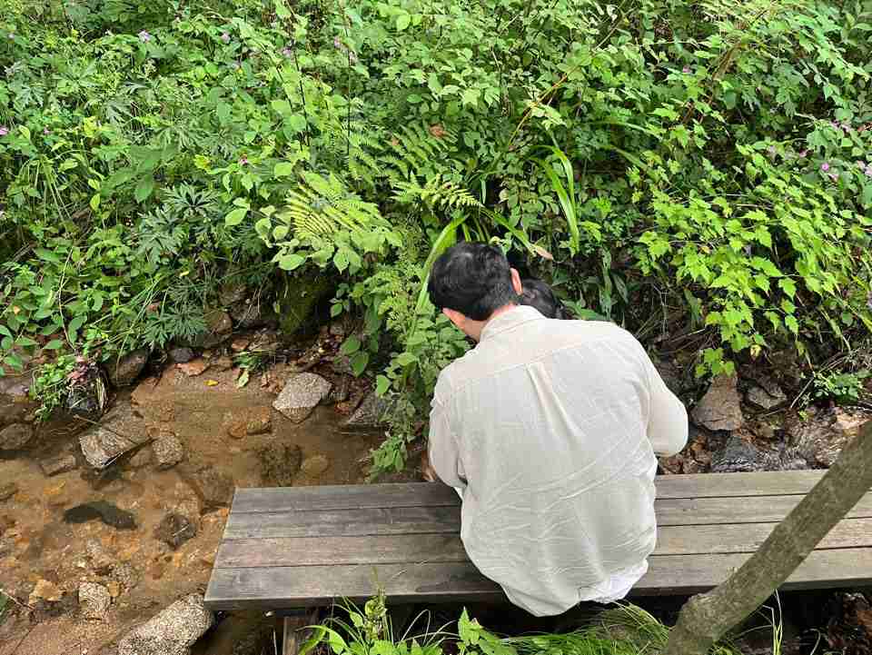 이효석 문학의 숲