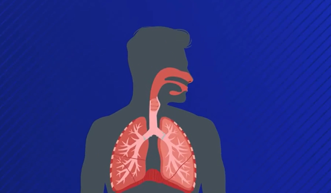 콧물이 계속 나는 이유