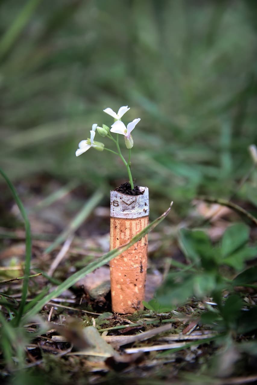 업사이클링 패션이 사회적 메시지를 전달하는 방법