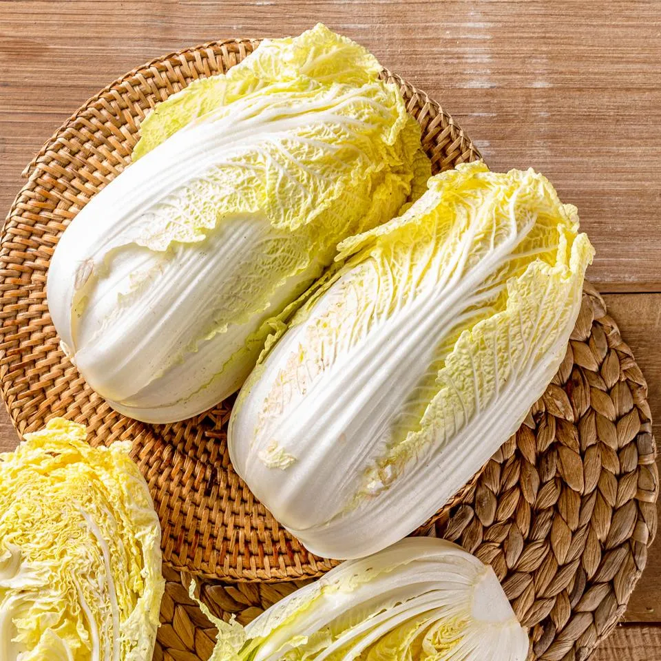 알배기 배추 물김치 담그는 법 및 보관 방법 총정리_1