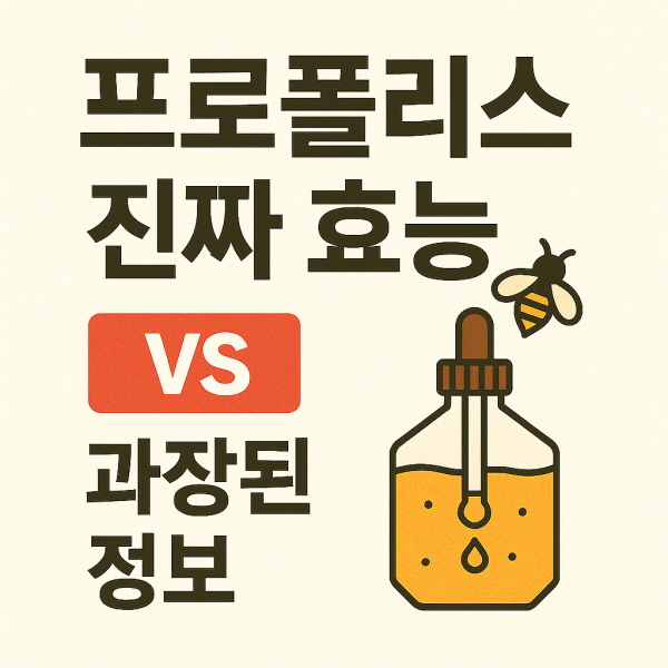 프로폴리스 진짜 효능/GPT