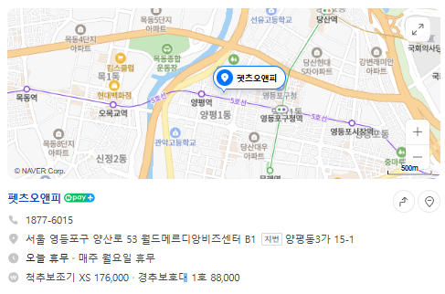 생방송투데이 반려동물 재활 보조기구 슬개골 척추 경추 발목 휠체어 고관절 성공인 동물재활공학사 펫츠오앤피 정보