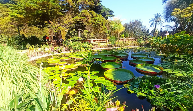 모나코여행 관련사진