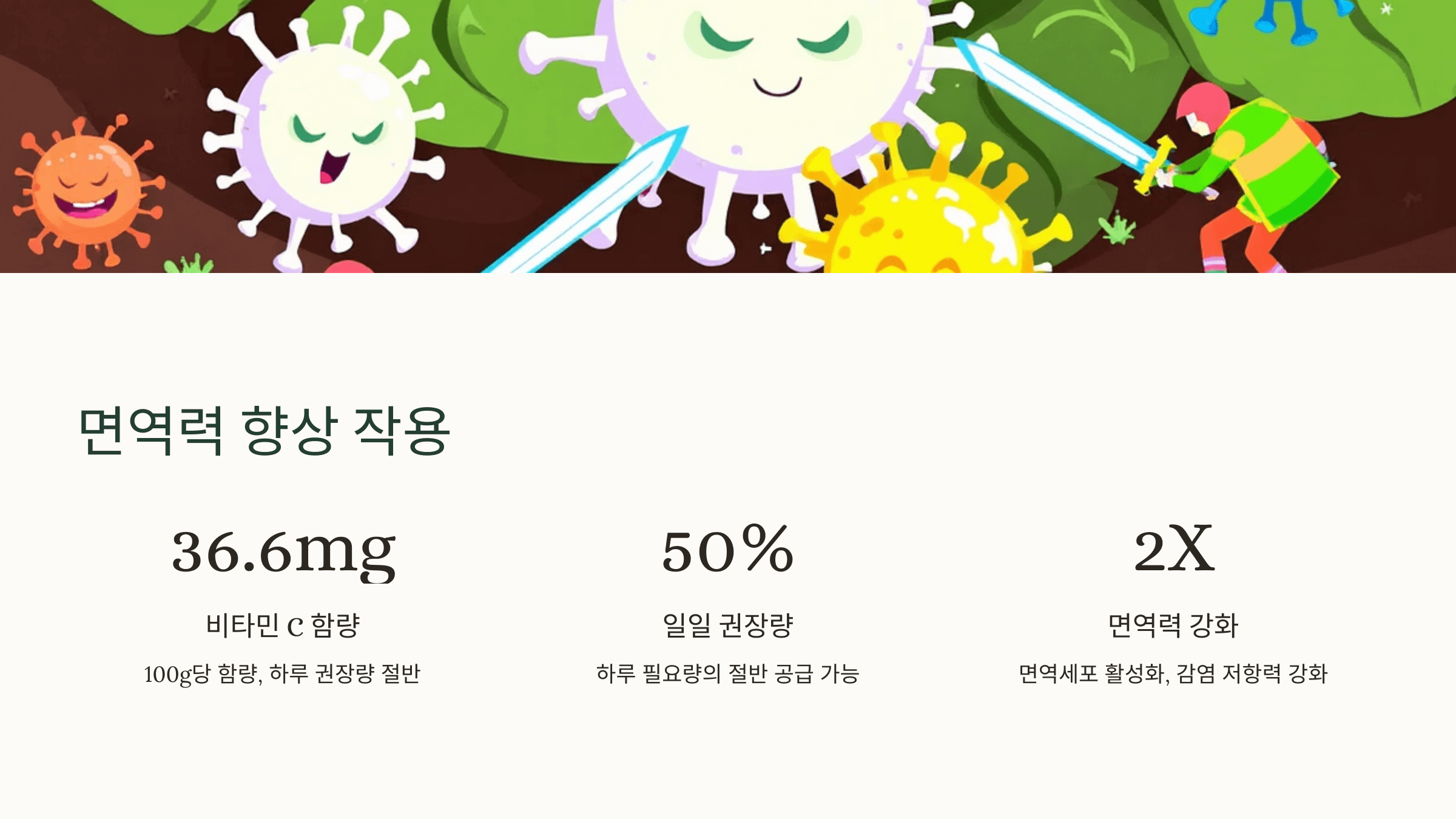 양배추 사진입니다.