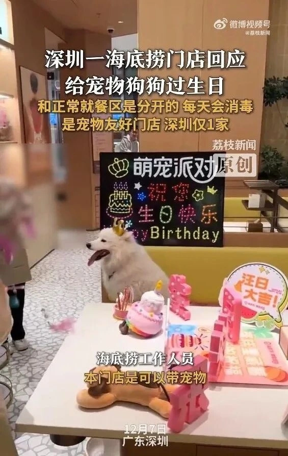 반려견 생일파티 논란&hellip; &ldquo;펫 전용 매장, 일반 식사 구역과 분리 운영