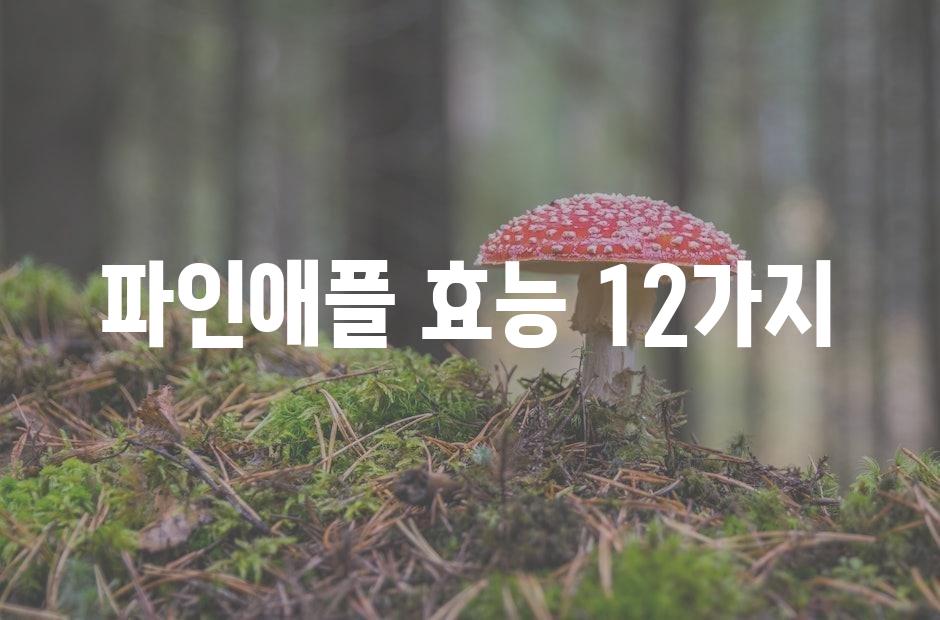 샘플 (42)