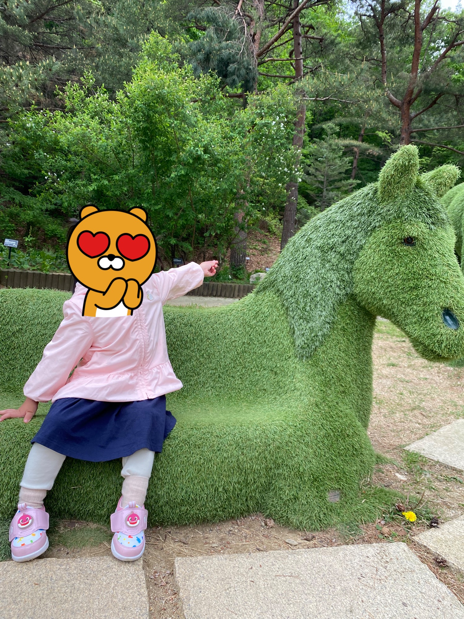 강릉솔향수목원 잔디광장