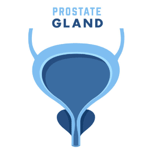 전립선 비대증 치료약