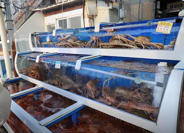울진 가볼만한 곳 맛집 여행정보 바다마실