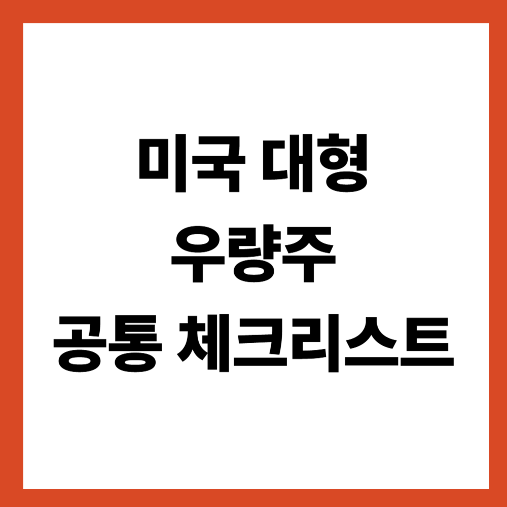 미국 대형 우량주 공통 체크리스트 이 기준부터 점검하자