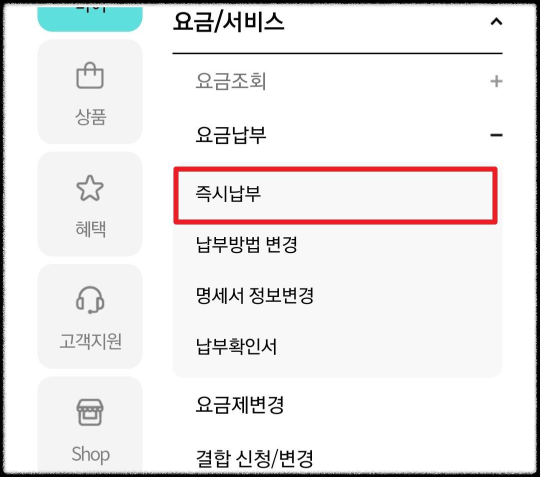 즉시납부