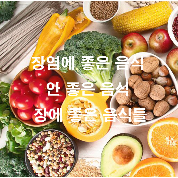 장염에 좋은 음식 안 좋은 음식 장에 좋은 음식들