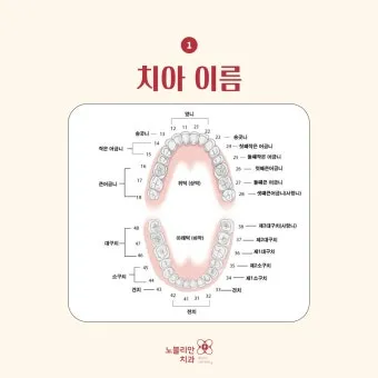 성인 이름의 유래와 축일 선택 가이드_20