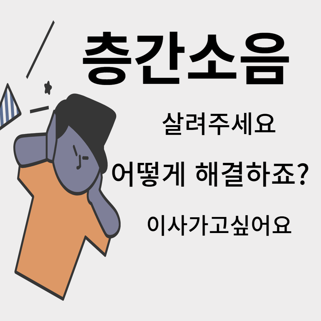 층간소은 해결책