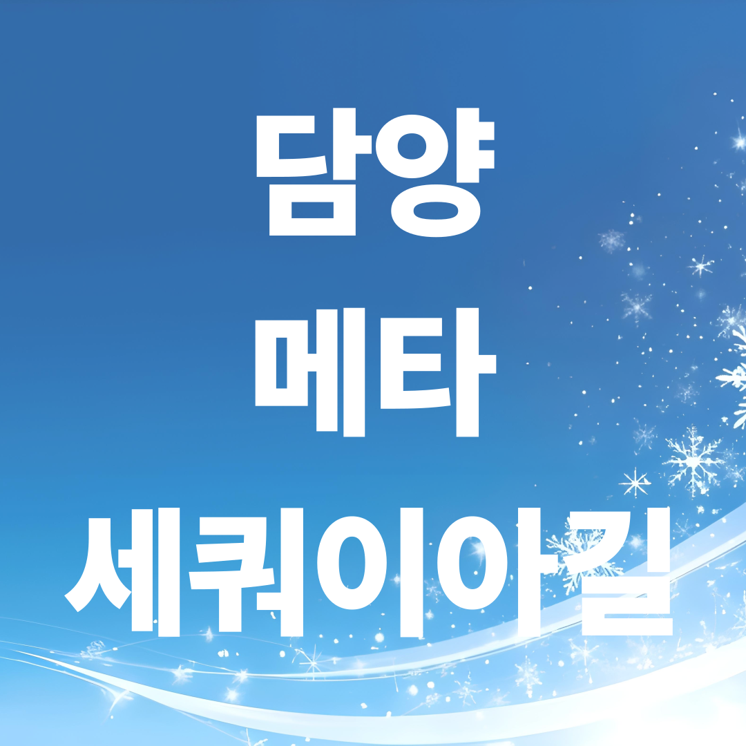 겨울 담양여행, 메타세쿼이아길