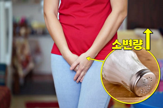 소변이 자주 마려운 이유 소금 섭취량 신장 망가짐 나트륨 과다섭취, 건강 팁줌 매일꿀정보