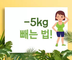 사과식초 다이어트 완벽 가이드: 효과 검증부터 성공 비법까지! 🍎💪