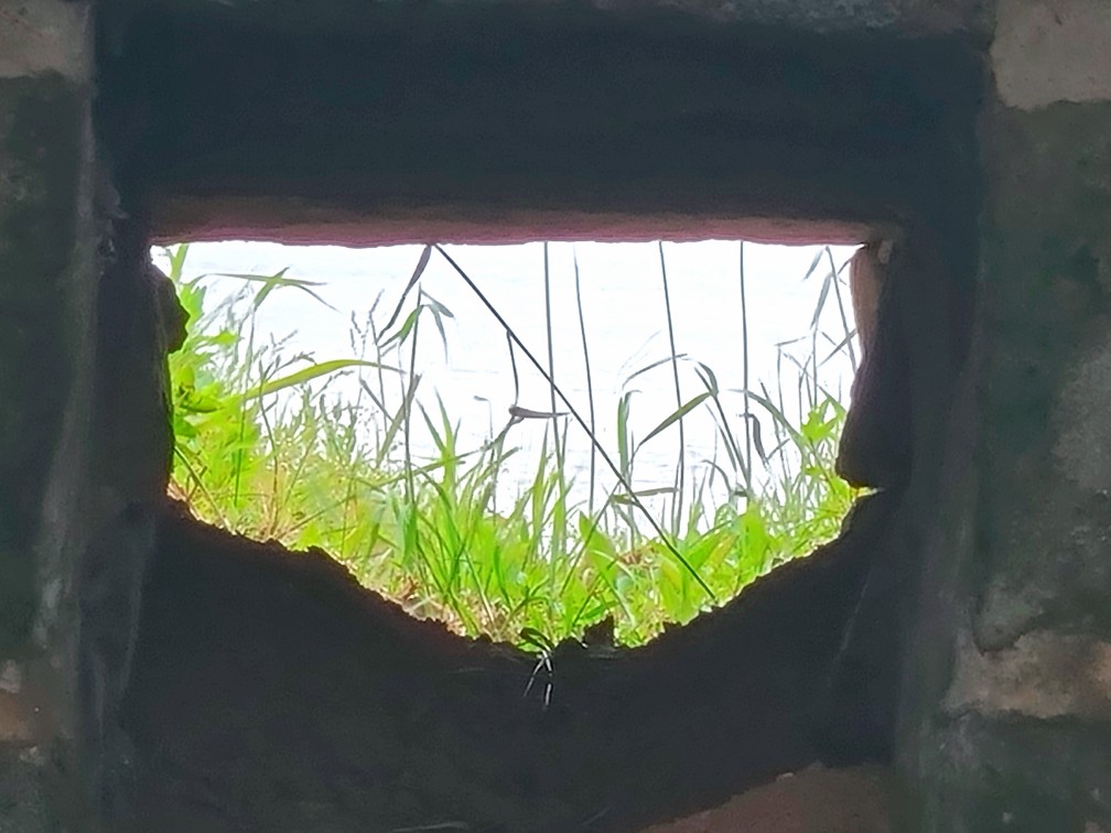 김포 가혜리카페: 또 가고 싶은 자연 속 브런치카페&amp;#44; 리뷰이벤트&amp;#44; 평화누리길