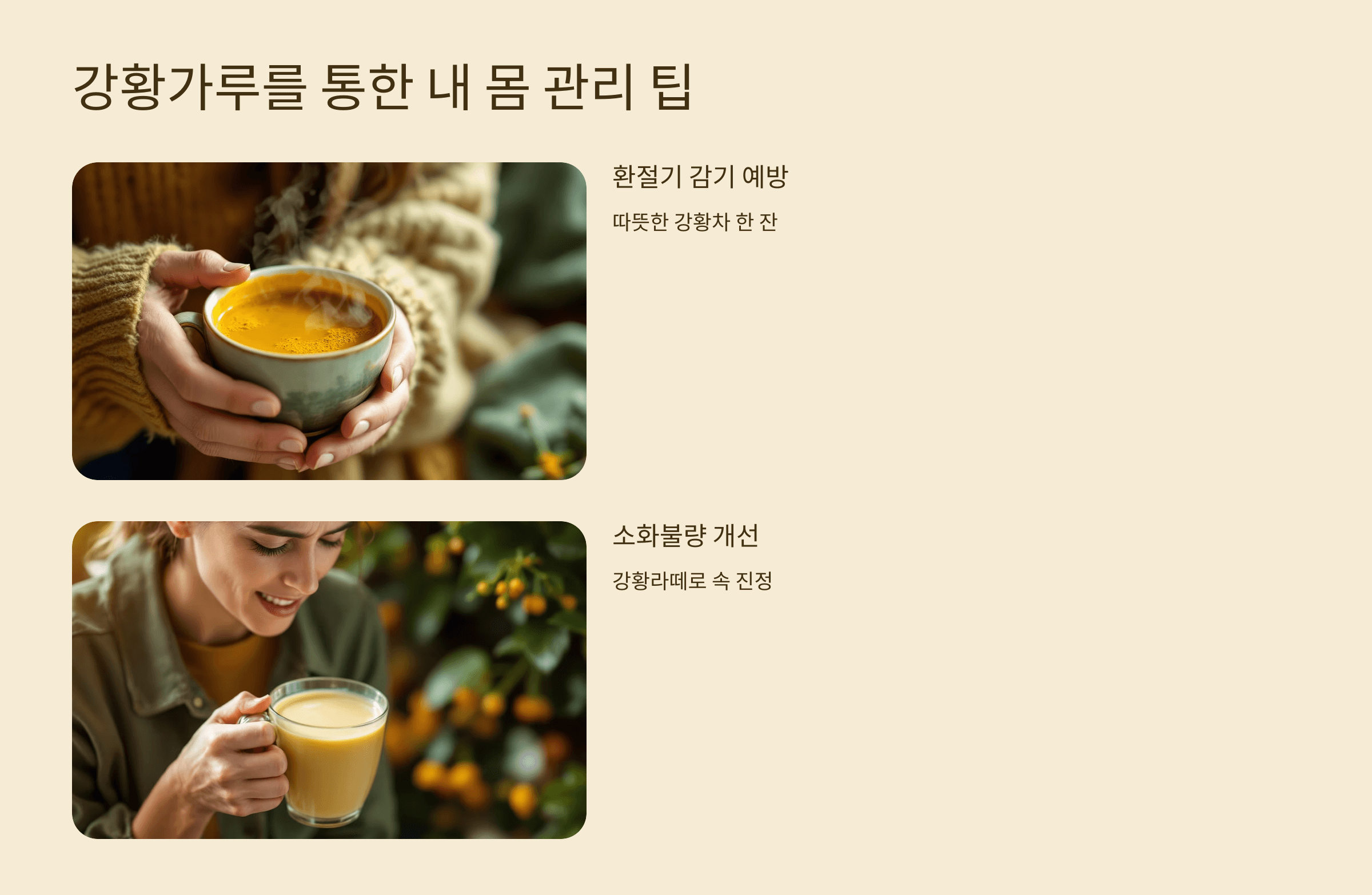 강황가루 사진입니다.