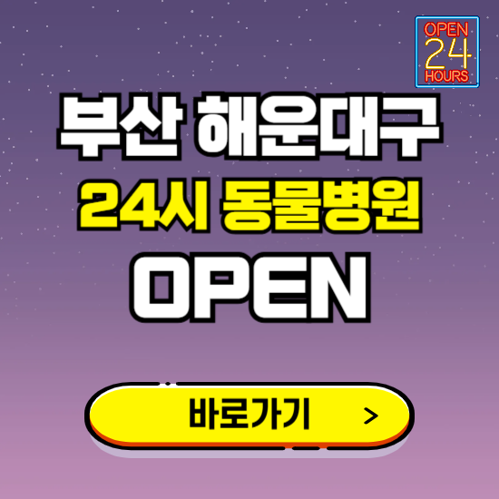 부산 해운대구 24시 동물병원 진료하는 곳 ❘ 설날 휴일 야간 심야 문여는곳 찾기 ❘ 응급진료