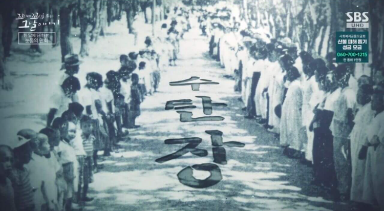 꼬꼬무 ‘소록도’ 편 리뷰: 유리병 태아와 잃어버린 가족의 기록