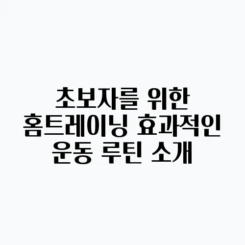 초보자를 위한 홈트레이닝 효과적인 운동 루틴 소개