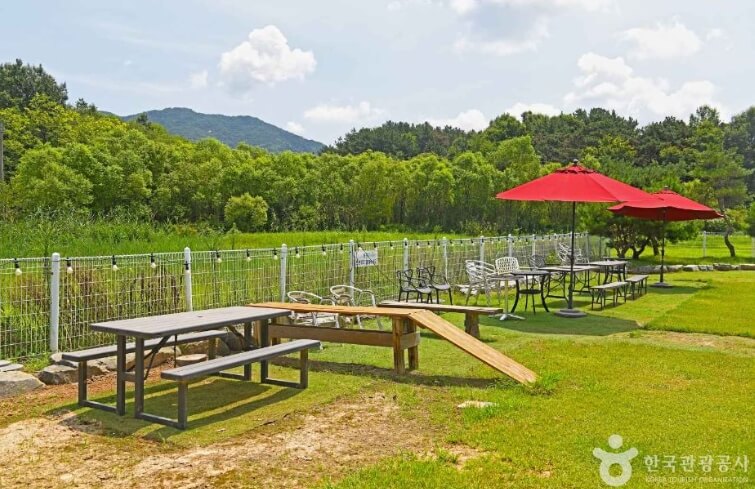 익산 가볼만한곳 베스트 10