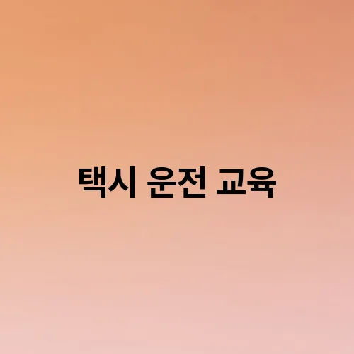 택시 운전 교육