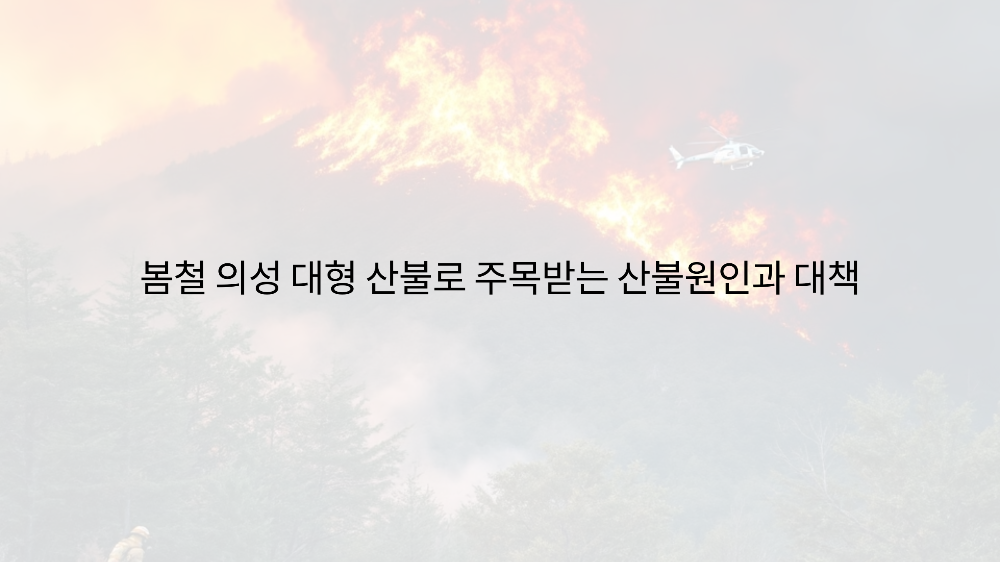 산불원인, 봄철 의성 대형 산불로 다시 주목받는 이유