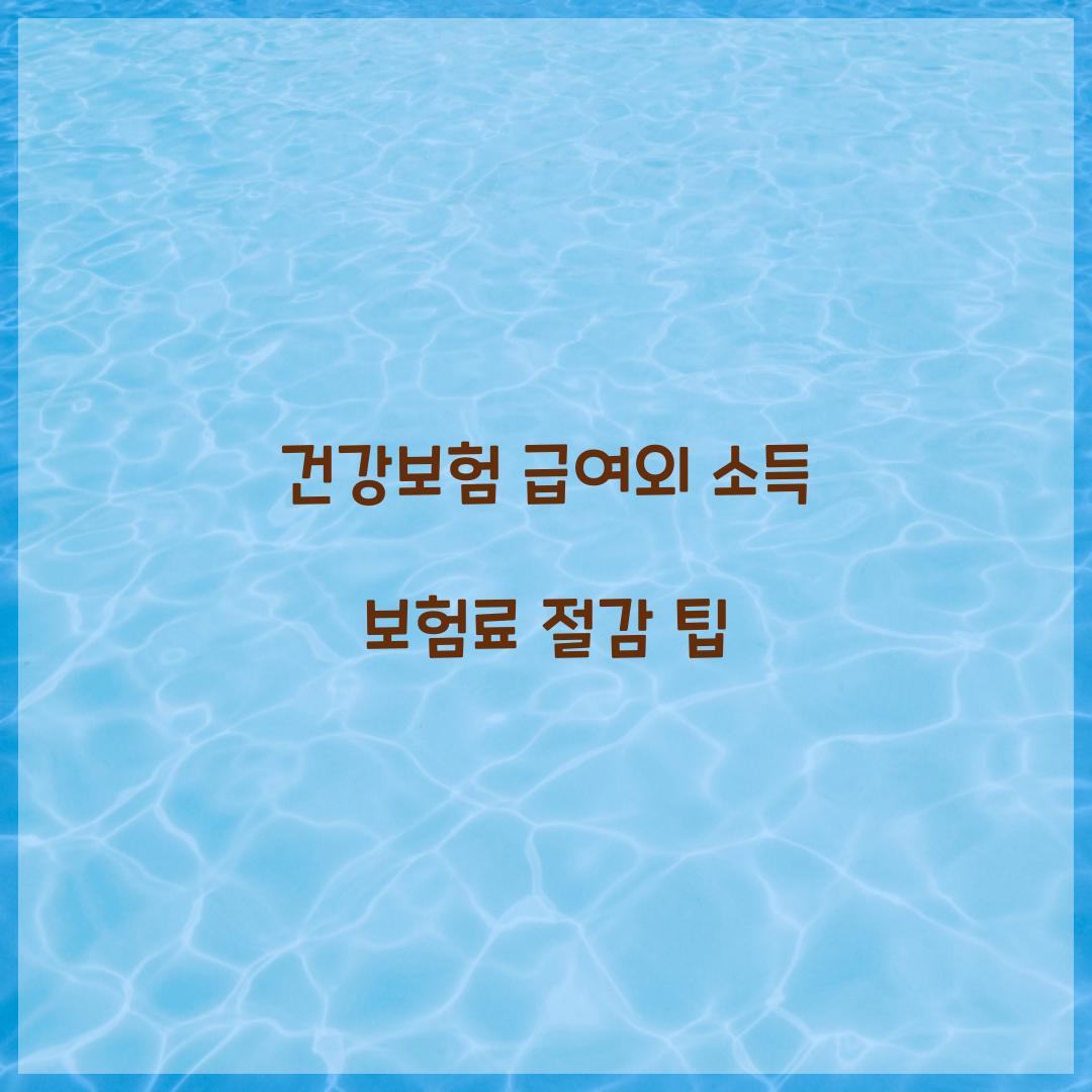 건강보험 급여외 소득 보험료