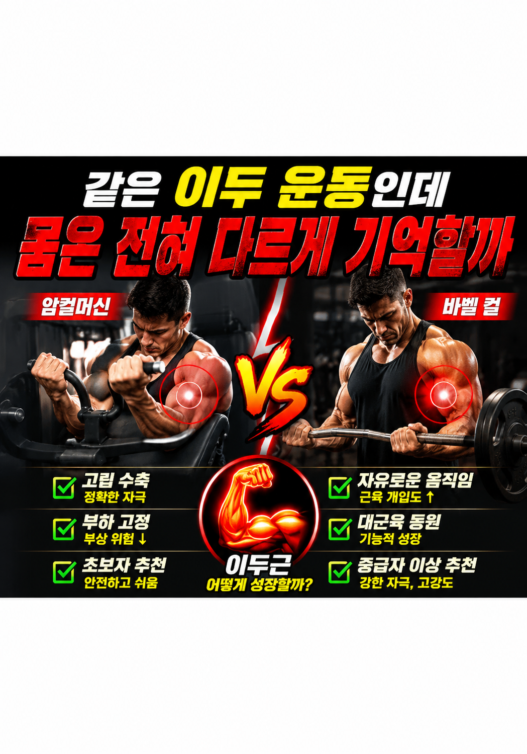 암컬머신 vs 바벨 컬