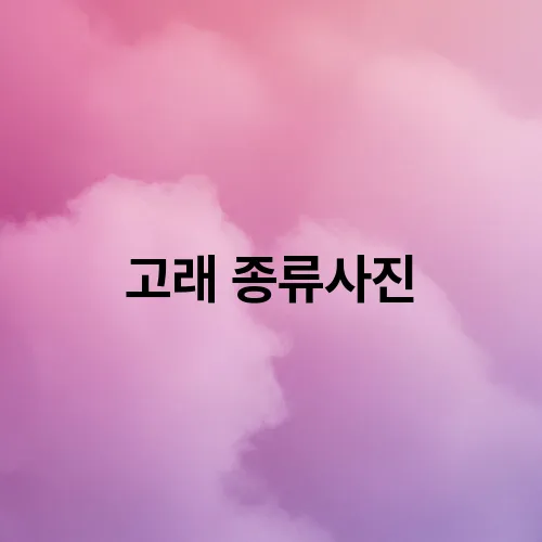 고래 종류사진