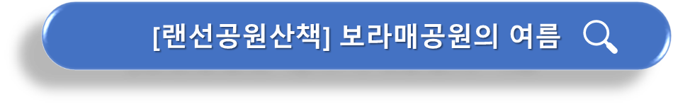 랜선산책 보라매공원의 여름