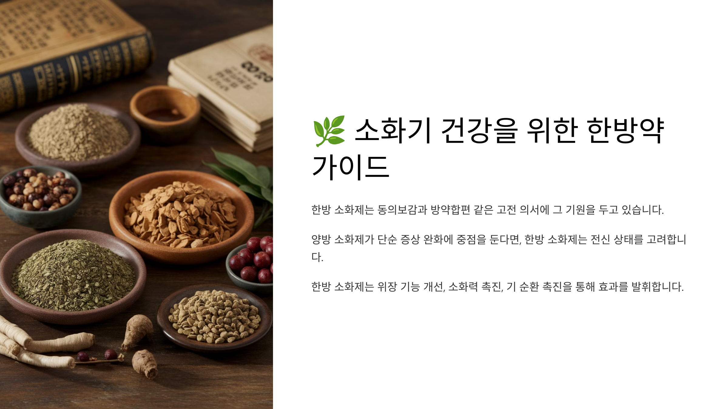 소화기 건강을 위한 한방약 가이드
