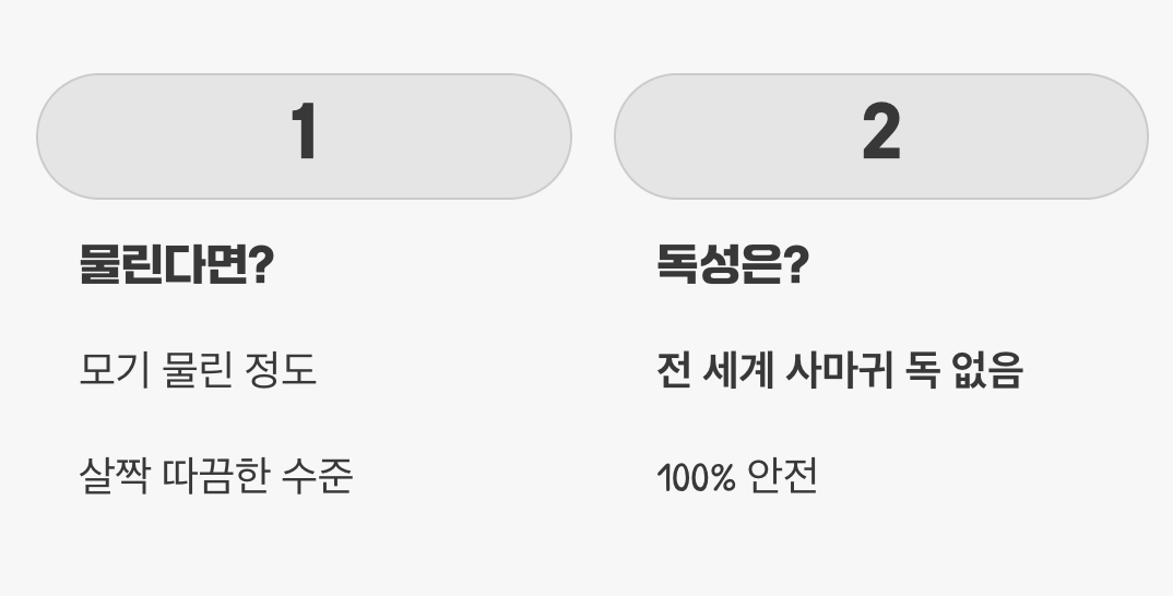 물리면 아픈가요? (feat. 독성은?)