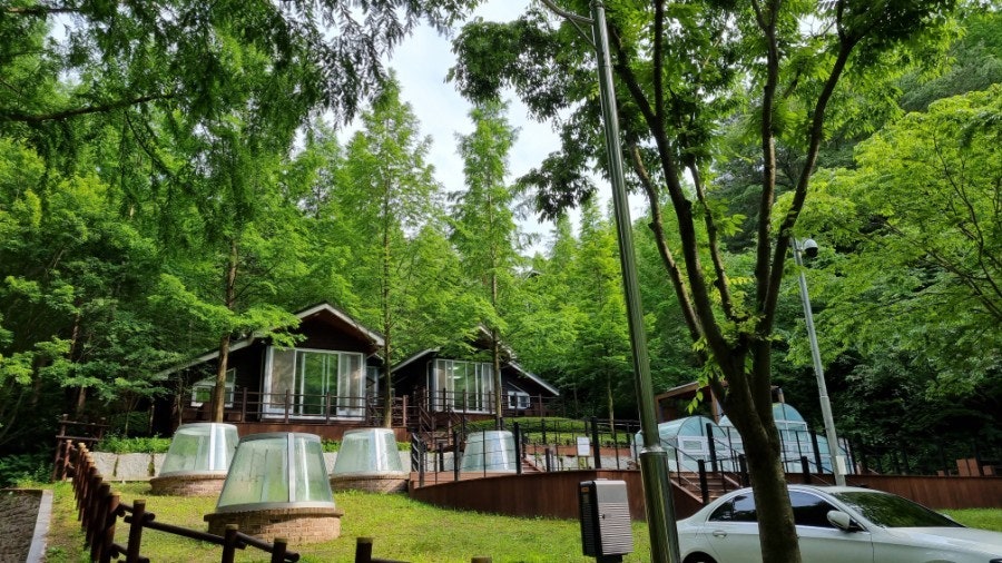 대전 장태산 자연휴양림