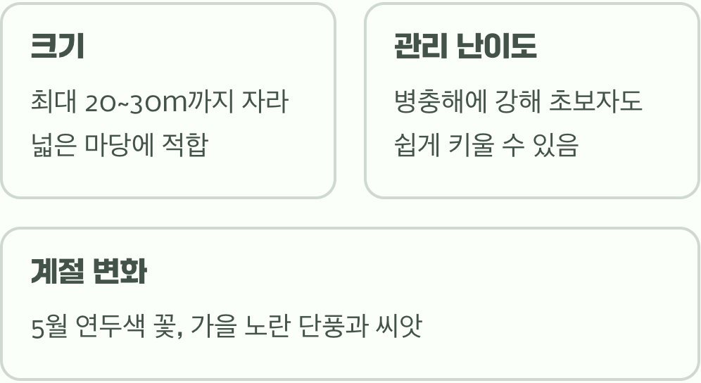 정원수로 물푸레나무 키우기, 실패하지 않는 5가지 비결