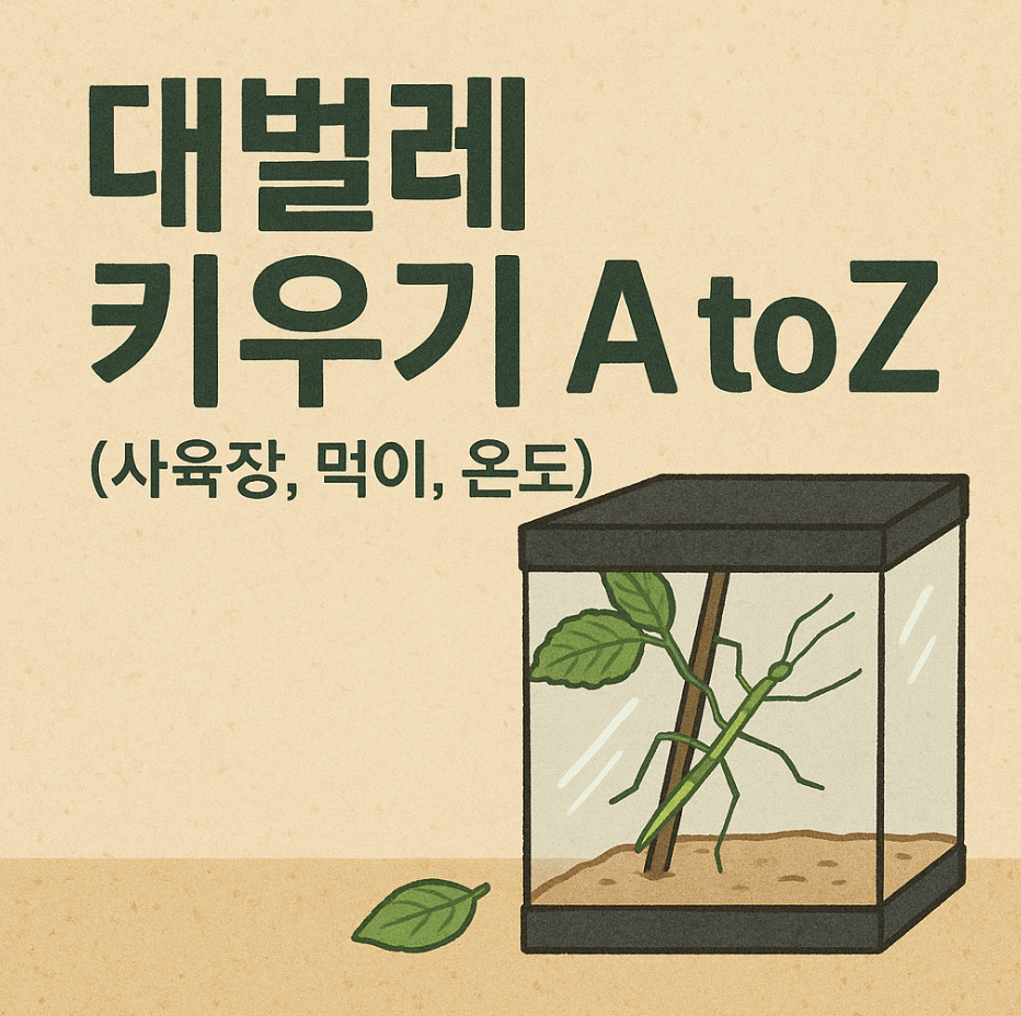 대벌레 키우기 A to Z (사육장, 먹이, 온도)
